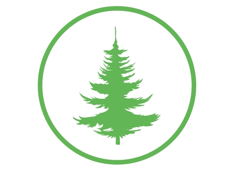 ikona drzewo iglaste